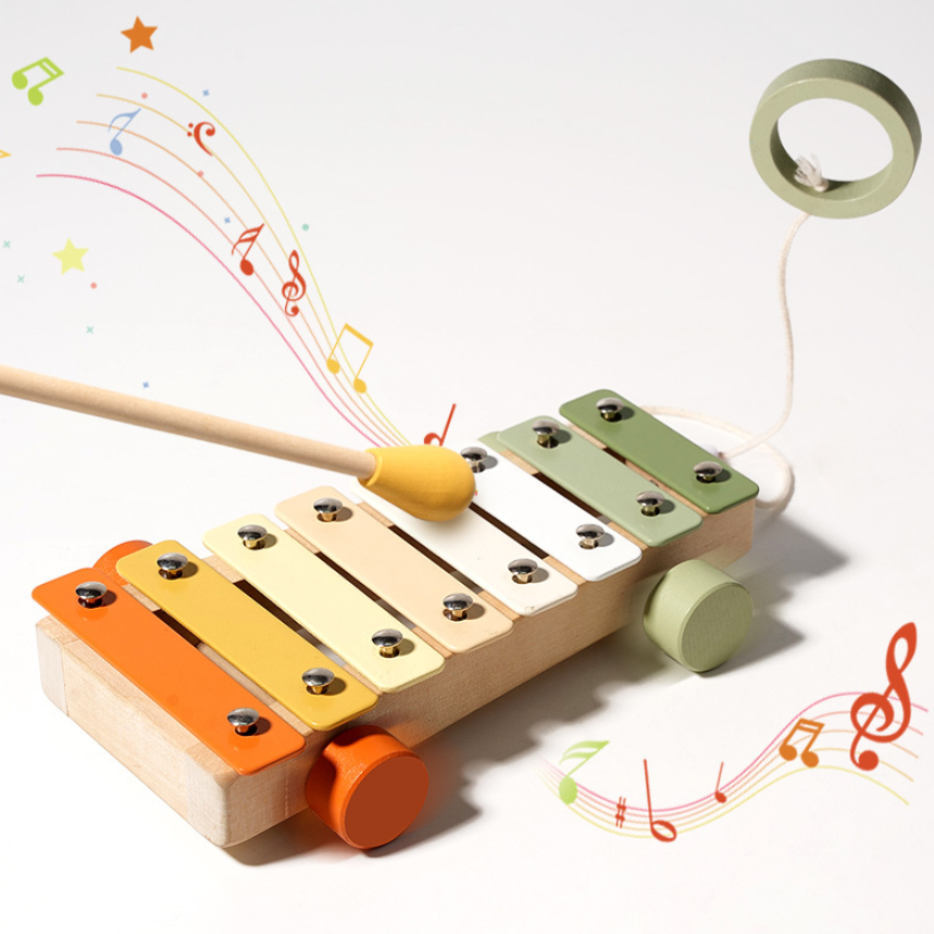 Kinder Holz Musikinstrumente - 7-teiliges Montessori Musikspielzeug-Set für frühes Lernen
