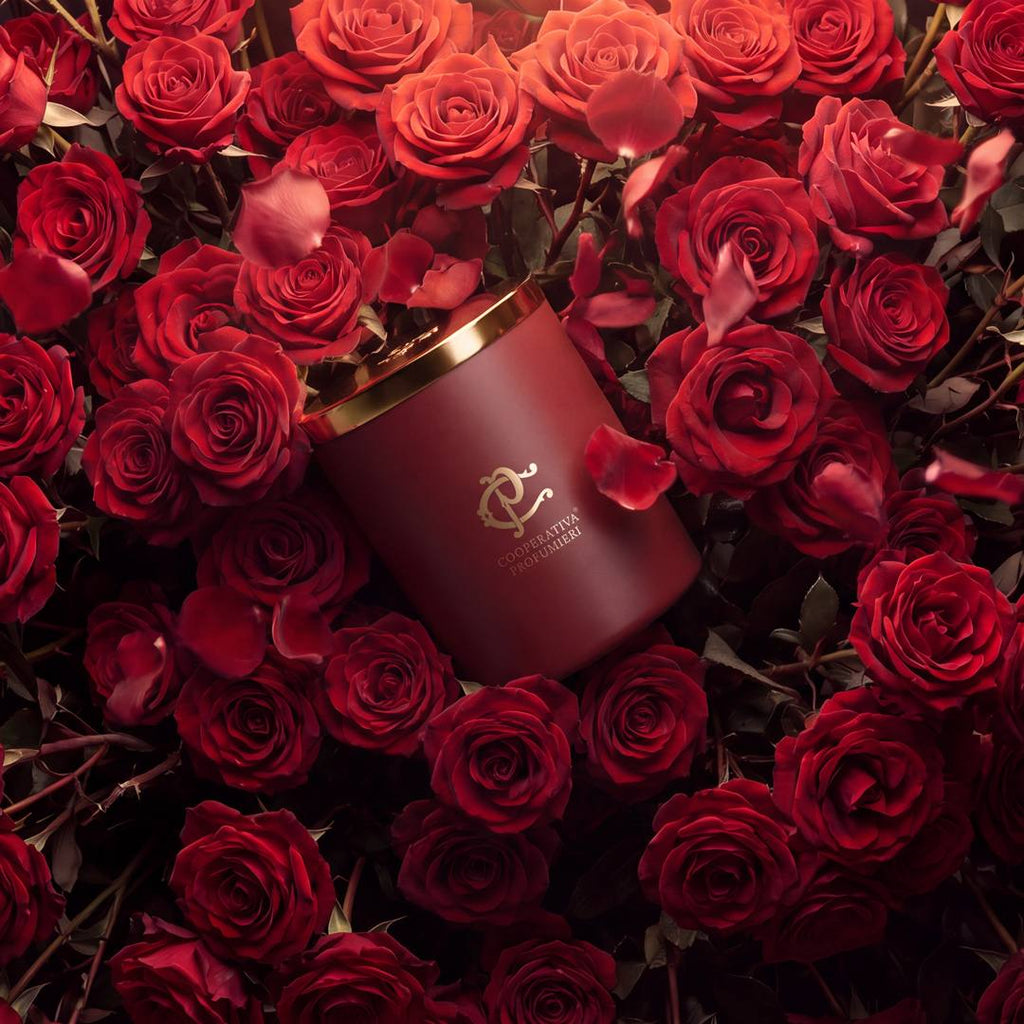 Bougie parfumée de luxe de Kooperativa Profumieri