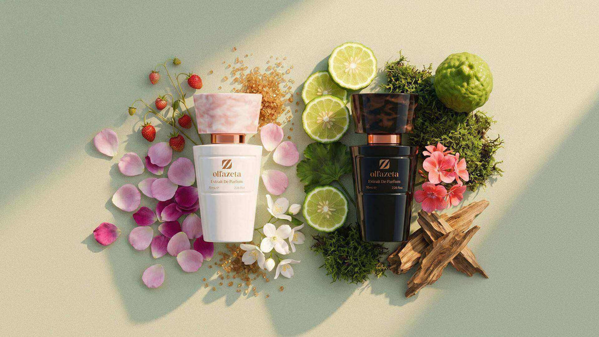 Exciteluxury - Olfazeta Extrait de Parfum Flakons in Weiß und Schwarz umgeben von Zitrusfrüchten, Blüten und edlen Duftnoten